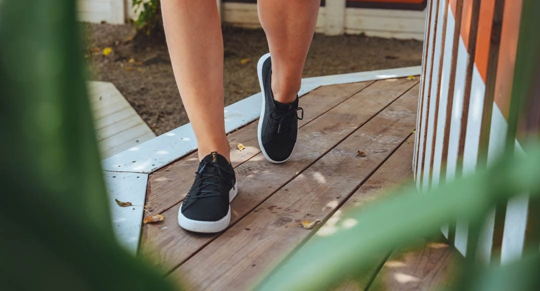 Cannon Knit 3 Women's Recycled PET Sneakers | Black Gold
