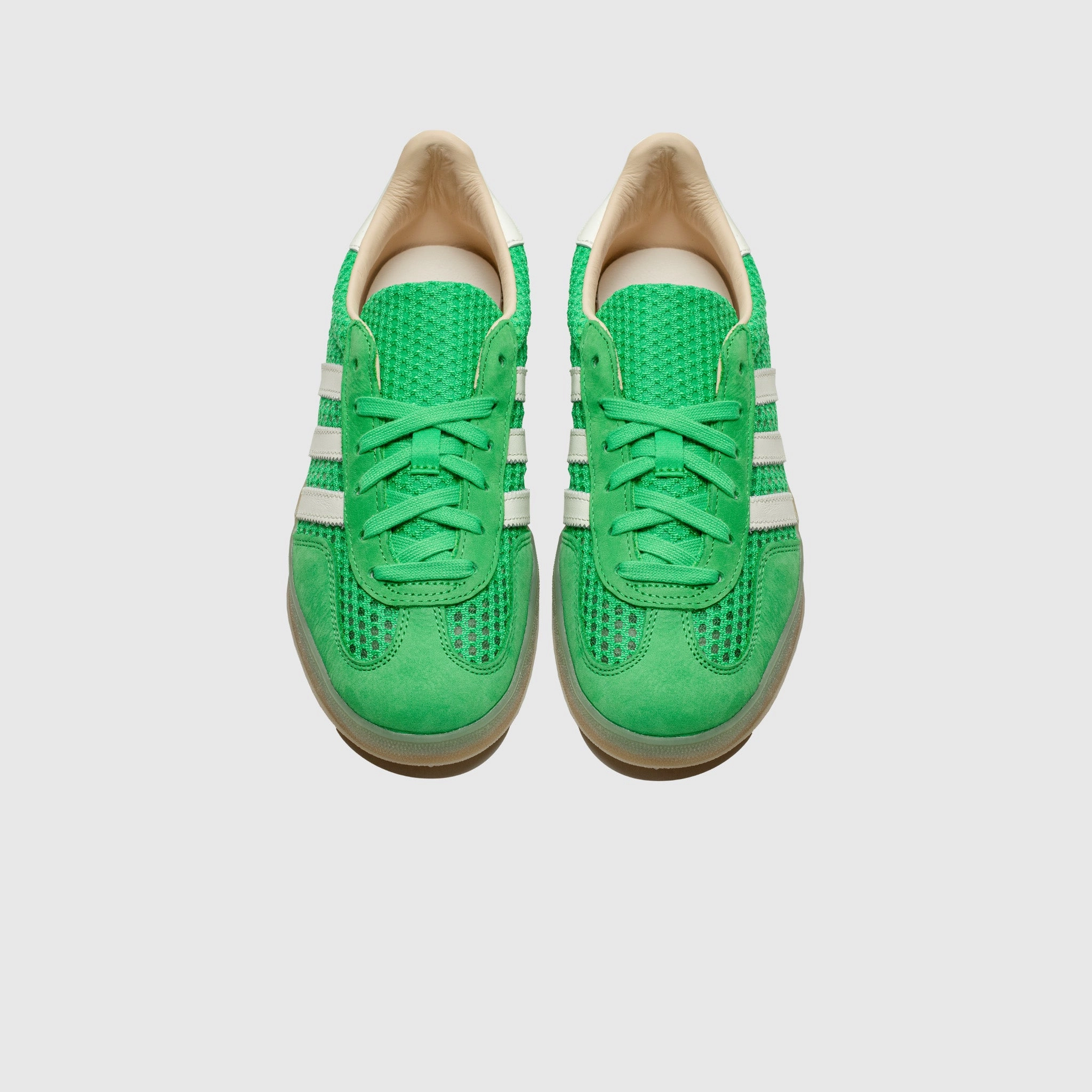 GAZELLE INDOOR