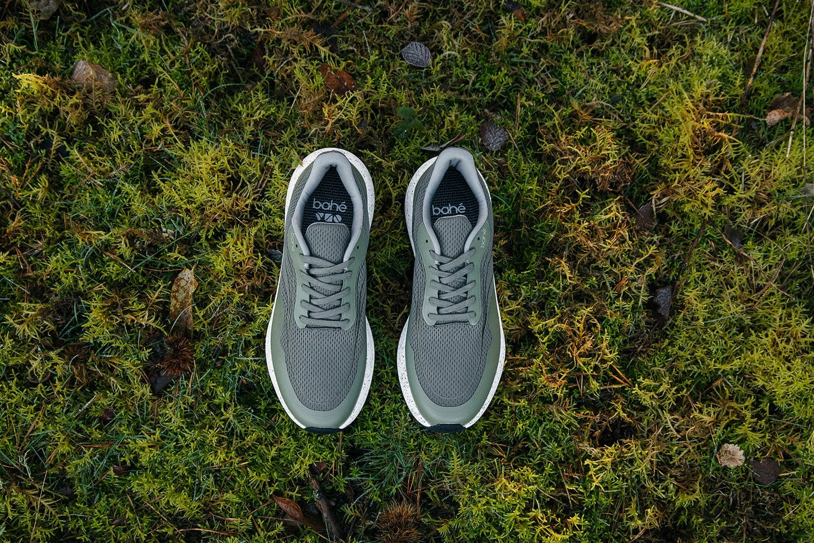 Women's Recharge Grounding Vegan Sneakers | Forest